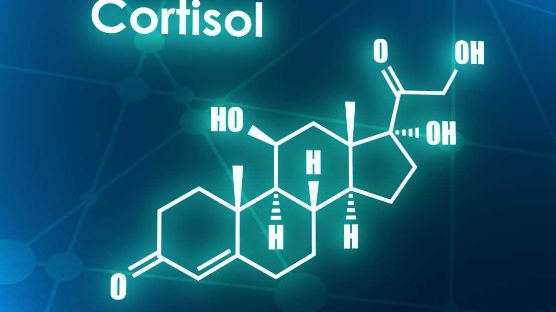 Як знизити рівень кортизолу природними методами?