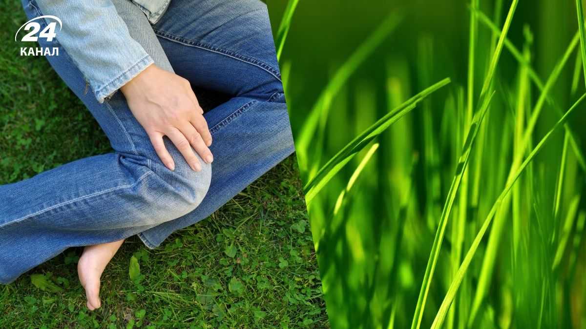 Навіть стійкі плями від трави зникнуть: домашнім способом!