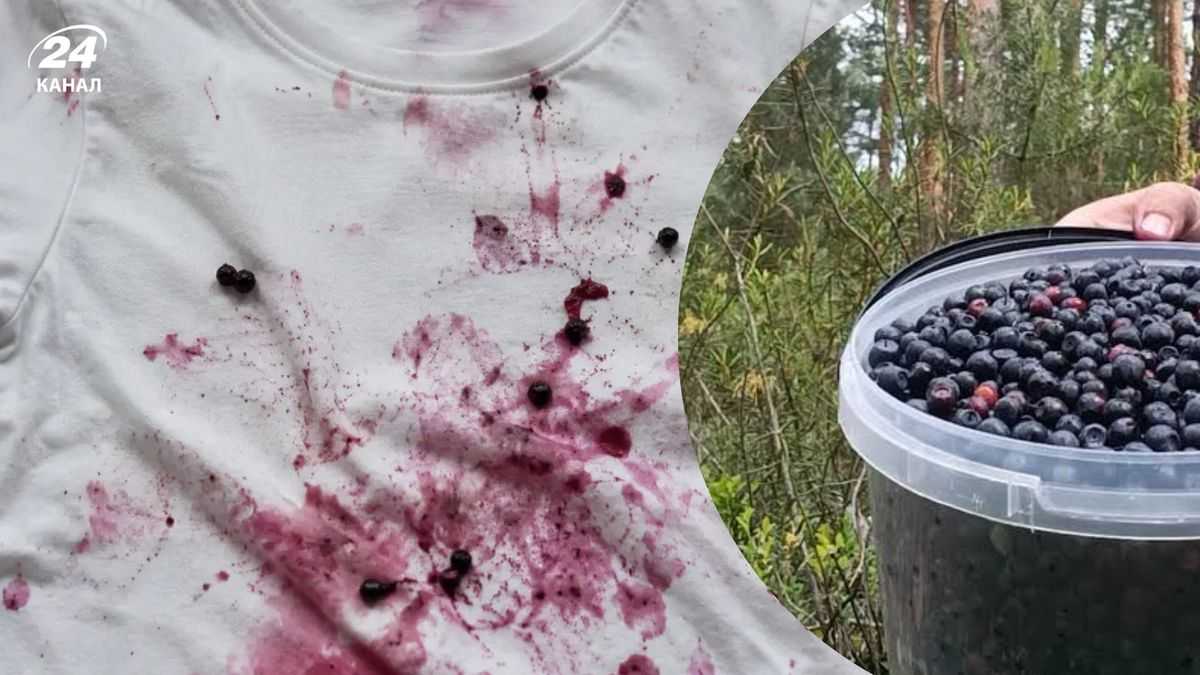 Лише не окріп: секрети виведення плям від чорниць. Як врятувати одяг.