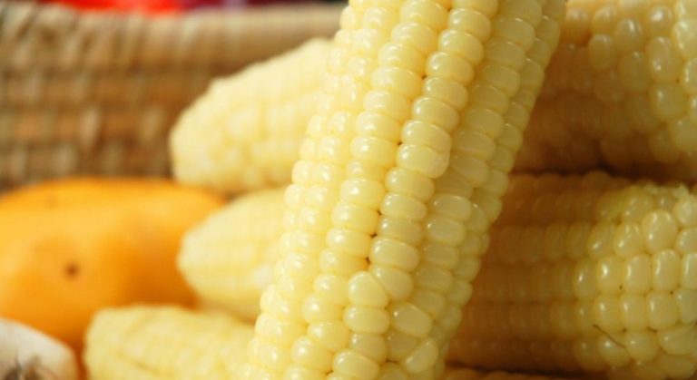 Чи можна їсти сиру кукурудзу? Дієтологи дають чітку відповідь!